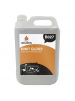 Selden B027 Minit Gloss Instant Clean Shine  5L - SEL015